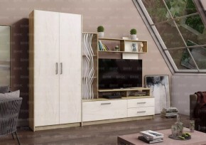 ДАРЬЯ Гостиная (Крафт серый/Крафт белый) в Казани - kazan.ok-mebel.com | фото