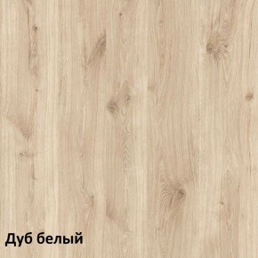 Эйп Шкаф для одежды 13.334 в Казани - kazan.ok-mebel.com | фото 5
