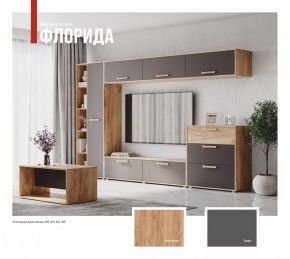 ФЛОРИДА Гостиная (модульная) дуб золотой/графит в Казани - kazan.ok-mebel.com | фото
