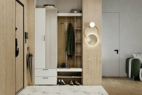 Гарнитур для прихожей Торонто в Казани - kazan.ok-mebel.com | фото 5