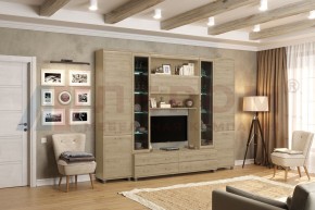 Гостиная Мелисса Композиция 9 (Гикори Джексон светлый) в Казани - kazan.ok-mebel.com | фото 4