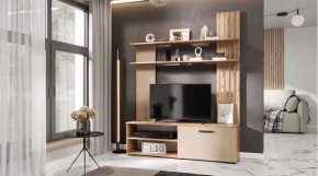 КАРОЛИНА Гостиная в Казани - kazan.ok-mebel.com | фото 2