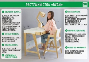 Комплект растущий стол и стул с чехлом 38 попугаев «Вуди» (Серый, Береза, Салют) в Казани - kazan.ok-mebel.com | фото