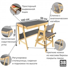 Комплект растущий стол и стул с чехлом 38 попугаев «Вуди» (Серый, Береза, Серый) в Казани - kazan.ok-mebel.com | фото