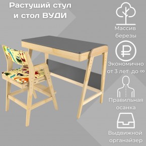 Комплект растущий стол и стул с чехлом 38 попугаев «Вуди» (Серый, Без покрытия, Монстры) в Казани - kazan.ok-mebel.com | фото