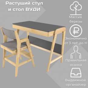 Комплект растущий стол и стул с чехлом 38 попугаев «Вуди» (Серый, Без покрытия, Серый) в Казани - kazan.ok-mebel.com | фото