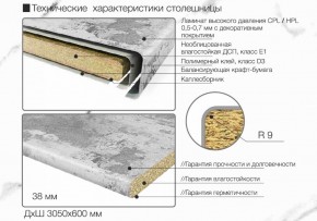 Кухонный фартук со столешницей (А-01) в едином стиле (3050 мм) в Казани - kazan.ok-mebel.com | фото 6