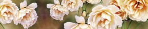 Кухонный фартук Цветы 066 МДФ матовый (3000) Flowers в Казани - kazan.ok-mebel.com | фото 1