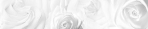Кухонный фартук Цветы 217 МДФ матовый (3000) Flowers в Казани - kazan.ok-mebel.com | фото 1