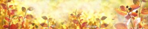 Кухонный фартук Цветы 318 МДФ матовый (3000) Flowers в Казани - kazan.ok-mebel.com | фото