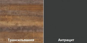 Кухонный гарнитур угловой Трансильвания 2600х1600 мм (Стол. 38 мм) в Казани - kazan.ok-mebel.com | фото 3