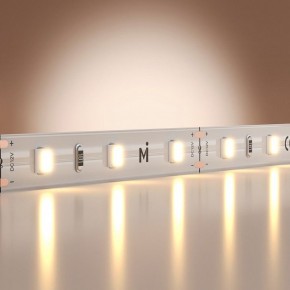 Лента светодиодная Maytoni Base 201162 в Казани - kazan.ok-mebel.com | фото