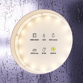 Лента светодиодная Maytoni Led strip 10105 в Казани - kazan.ok-mebel.com | фото 2