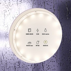 Лента светодиодная Maytoni Led strip 10106 в Казани - kazan.ok-mebel.com | фото 3
