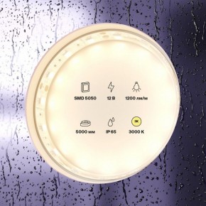 Лента светодиодная Maytoni Led strip 10131 в Казани - kazan.ok-mebel.com | фото 2