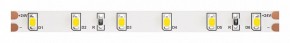 Лента светодиодная Maytoni Led strip 10138 в Казани - kazan.ok-mebel.com | фото
