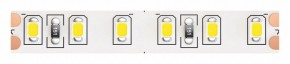Лента светодиодная Maytoni Led strip 10147 в Казани - kazan.ok-mebel.com | фото
