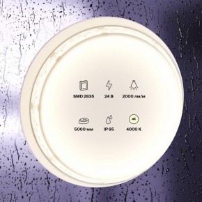 Лента светодиодная Maytoni Led strip 10158 в Казани - kazan.ok-mebel.com | фото 2