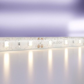 Лента светодиодная Maytoni Led strip 20006 в Казани - kazan.ok-mebel.com | фото