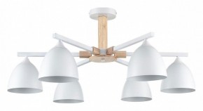 Люстра на штанге Lumion Colange 8095/6C в Казани - kazan.ok-mebel.com | фото