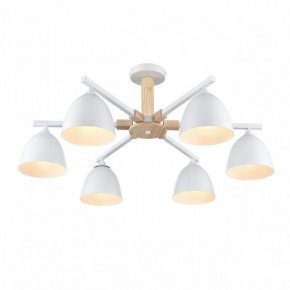 Люстра на штанге Lumion Colange 8095/6C в Казани - kazan.ok-mebel.com | фото 3