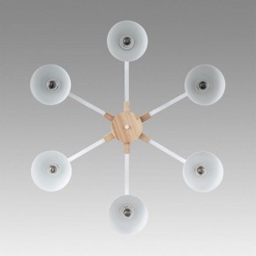 Люстра на штанге Lumion Colange 8095/6C в Казани - kazan.ok-mebel.com | фото 4