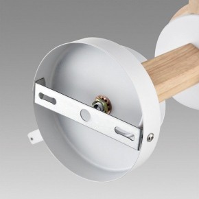Люстра на штанге Lumion Colange 8095/6C в Казани - kazan.ok-mebel.com | фото 6