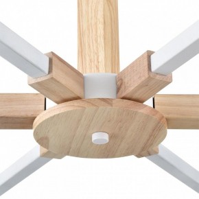 Люстра на штанге Lumion Colange 8095/6C в Казани - kazan.ok-mebel.com | фото 7