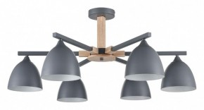Люстра на штанге Lumion Colange 8096/6C в Казани - kazan.ok-mebel.com | фото