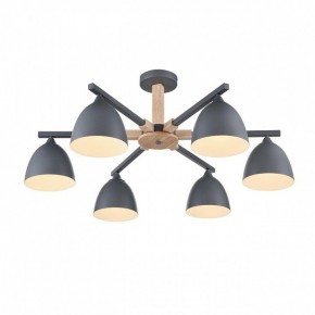 Люстра на штанге Lumion Colange 8096/6C в Казани - kazan.ok-mebel.com | фото 3