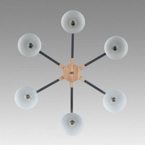 Люстра на штанге Lumion Colange 8096/6C в Казани - kazan.ok-mebel.com | фото 4