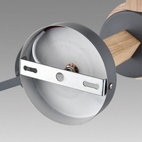 Люстра на штанге Lumion Colange 8096/6C в Казани - kazan.ok-mebel.com | фото 6