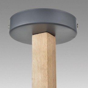 Люстра на штанге Lumion Colange 8096/6C в Казани - kazan.ok-mebel.com | фото 9