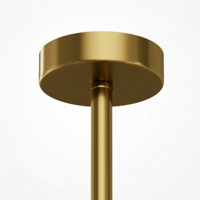 Люстра на штанге Maytoni Museo MOD436PL-07BS в Казани - kazan.ok-mebel.com | фото 5