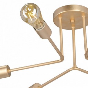 Люстра на штанге Vitaluce V3071 V3071-8/6PL в Казани - kazan.ok-mebel.com | фото 6