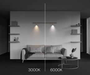 Модульный светильник Maytoni Focus LED C102CL-3W3-6K-BS в Казани - kazan.ok-mebel.com | фото 4