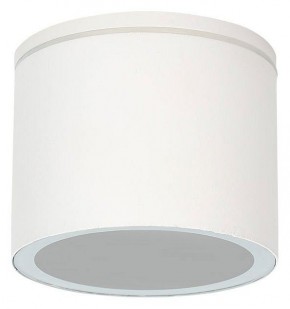 Накладной светильник Arte Lamp Piautos A1913PF-1WH в Казани - kazan.ok-mebel.com | фото