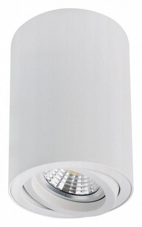 Накладной светильник Arte Lamp Sentry A1566PL-1WH в Казани - kazan.ok-mebel.com | фото