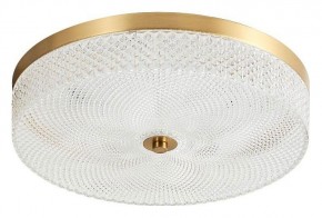 Накладной светильник Arti Lampadari Viro Viro L 1.13.35x9 G в Казани - kazan.ok-mebel.com | фото