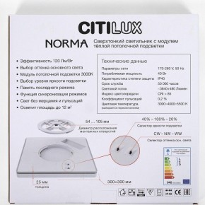 Накладной светильник Citilux Norma CL748K301 в Казани - kazan.ok-mebel.com | фото 8
