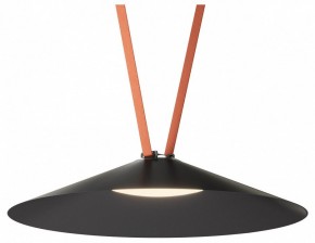 Накладной светильник Denkirs Belty Flow DK5569-BK в Казани - kazan.ok-mebel.com | фото 2