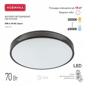 Накладной светильник Эра Классик SPB-6-70-RC Liburn в Казани - kazan.ok-mebel.com | фото 10