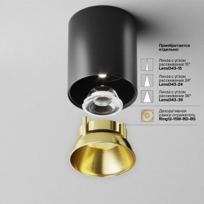 Накладной светильник Maytoni Alfa LED C064CL-12W4K-RD-B в Казани - kazan.ok-mebel.com | фото 3