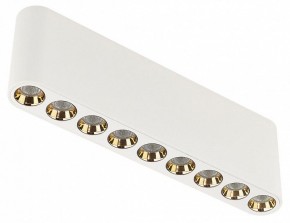 Накладной светильник Odeon Light Small 7091/21CL в Казани - kazan.ok-mebel.com | фото