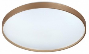 Накладной светильник Sonex Gaby 7783/EL в Казани - kazan.ok-mebel.com | фото 4