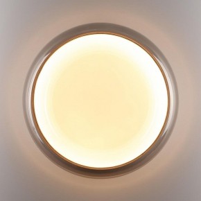 Накладной светильник Sonex PORTMAN 7777/DLN в Казани - kazan.ok-mebel.com | фото 6