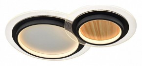 Накладной светильник Sonex Sunny 7733/80L в Казани - kazan.ok-mebel.com | фото