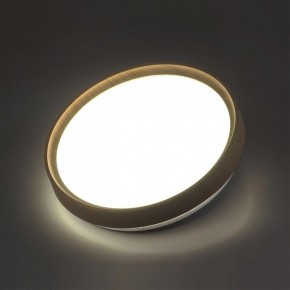 Накладной светильник Sonex Woodi 7603/CL в Казани - kazan.ok-mebel.com | фото 3