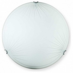 Накладной светильник TopLight Wifa TL9142Y-00WH в Казани - kazan.ok-mebel.com | фото