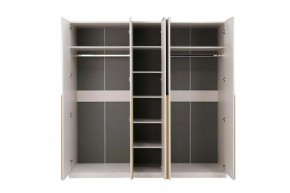 НИКОЛЬ 25 Шкаф 5-ти створчатый в Казани - kazan.ok-mebel.com | фото 3